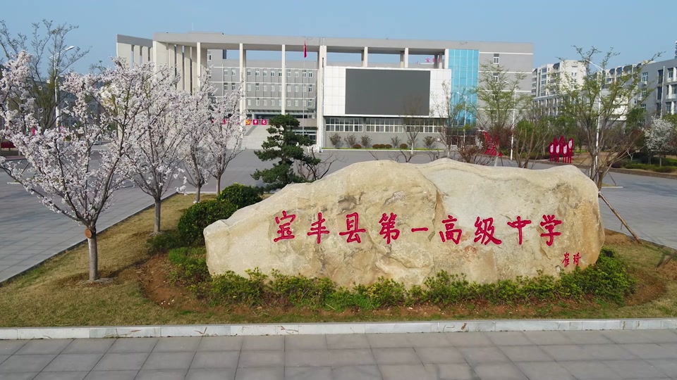 宝丰一高文化节