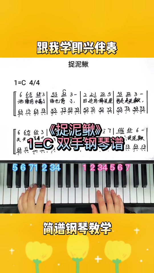 歌曲捉泥鳅(歌曲捉泥鳅儿歌视频大全连续播放)