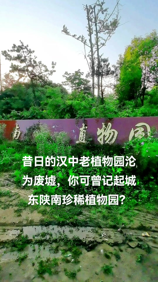 汉中城东公园规划具体在哪个位置? - 抖音