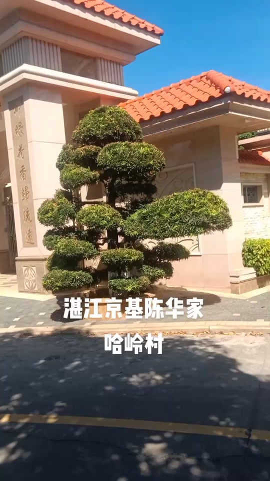 吴川陈华豪宅_深圳京基100陈华是吴川哪里人