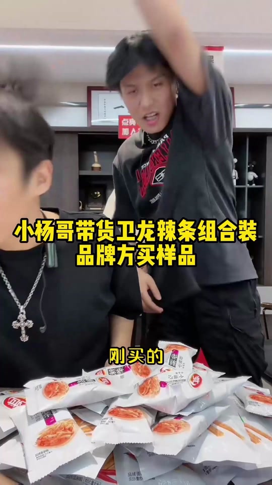 卫龙刘卫龙简历_卫龙刘汉飞简介