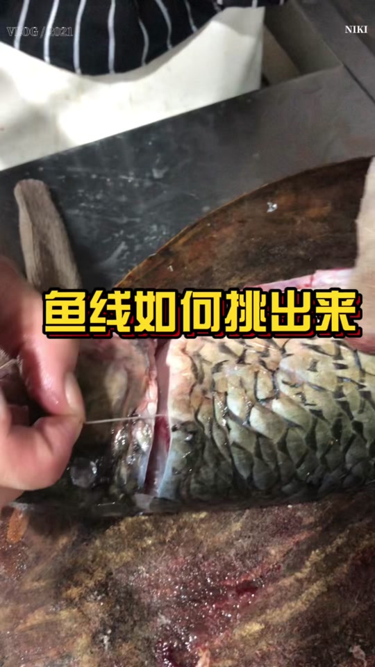 鱼身上的鱼线怎样抽出来 - 抖音