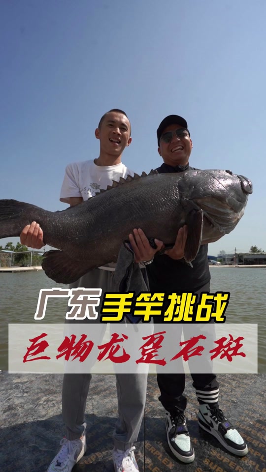龙趸鱼多少钱一斤 - 抖音
