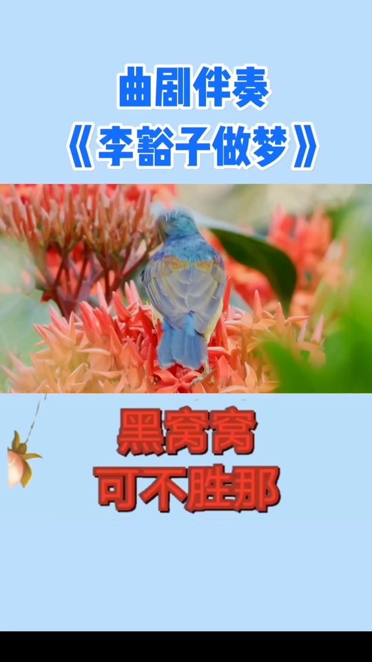 李豁子做梦曲剧场面膜