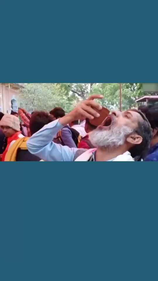 印度约200民众聚众喝牛尿,称可抵抗新冠病毒