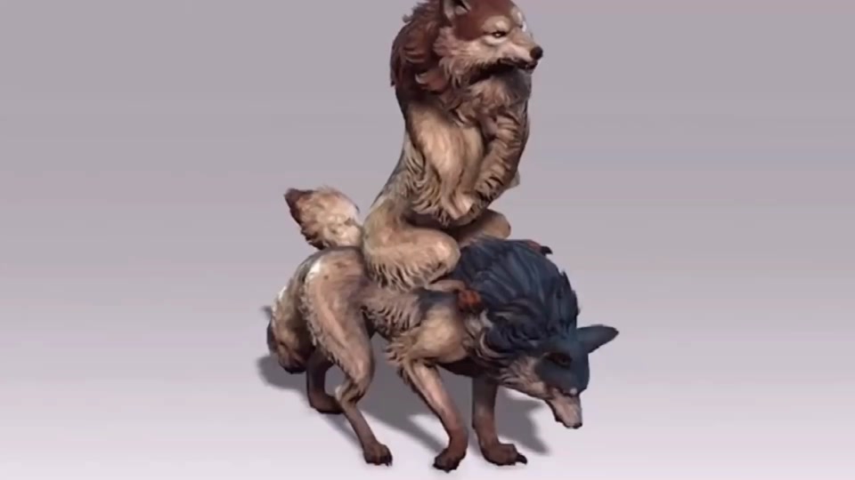 七日世界狼与狈怎么拍摄 - 抖音