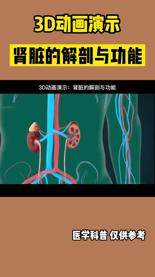 肾透析的原理动画演示