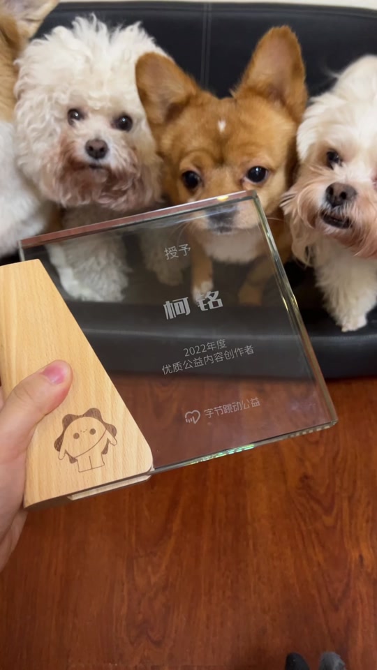 抖音的柯铭=抖音柯铭的哈尼图片