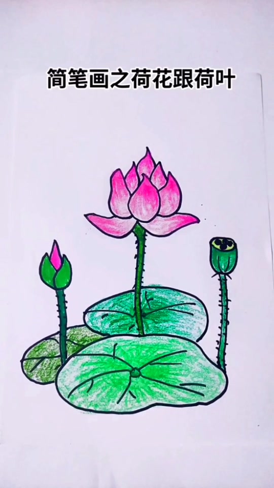 儿童简笔画荷花荷叶池塘画 - 抖音
