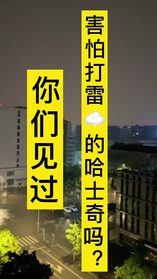 狗为什么怕打雷