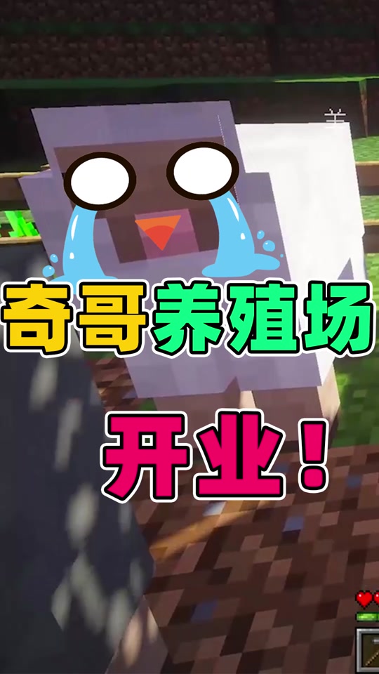 居哥s裴奇的游戏解说