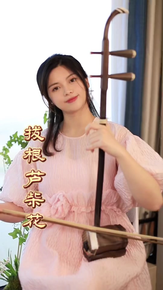 拔根芦柴花二胡