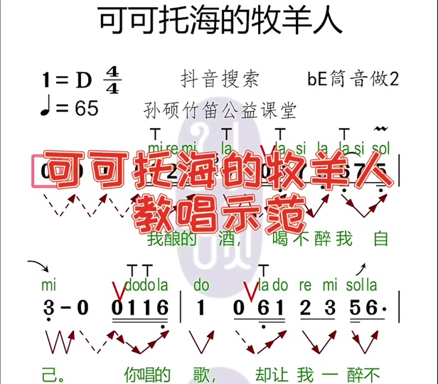 竖笛独奏可可西里牧羊人歌谱简谱教唱 - 抖音