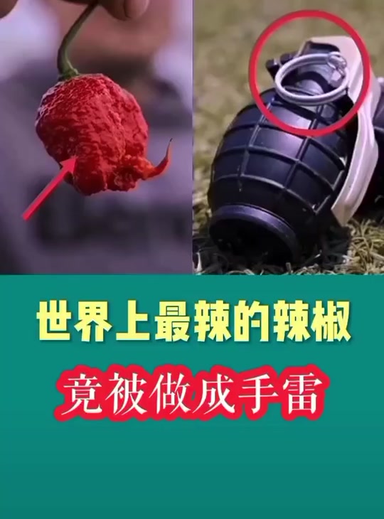 魔兽世界龙息辣椒的使用方法 - 抖音