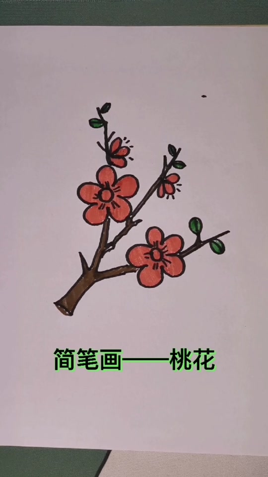 桃花枝条简笔画