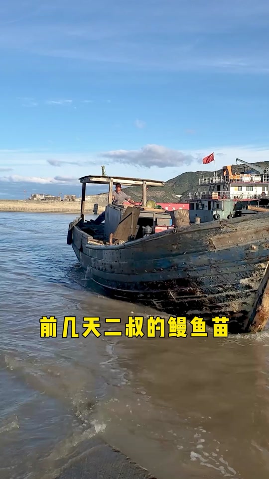 新型的捕捉鳗鱼苗的方法 - 抖音