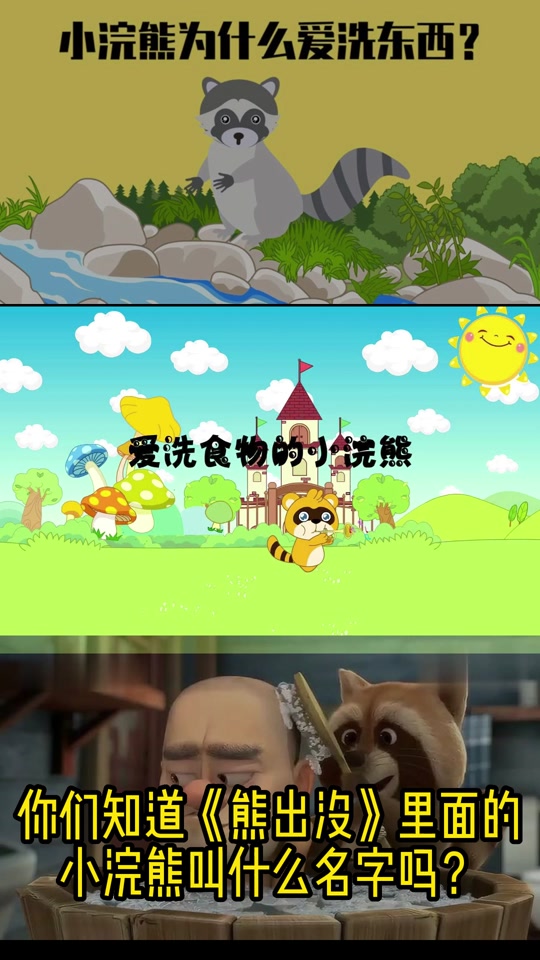 爱干净的浣熊中班音乐 - 抖音