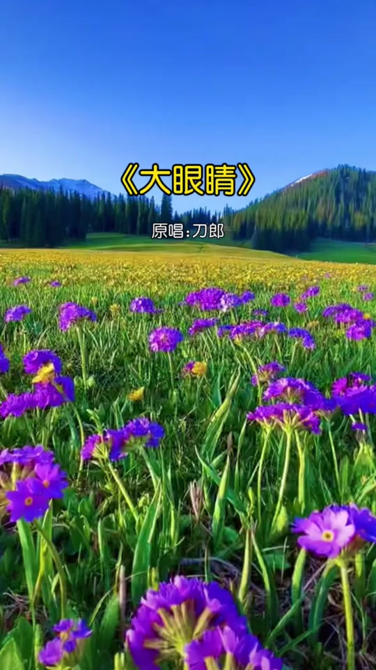 大眼睛歌曲原唱(儿歌大眼睛歌曲原唱)