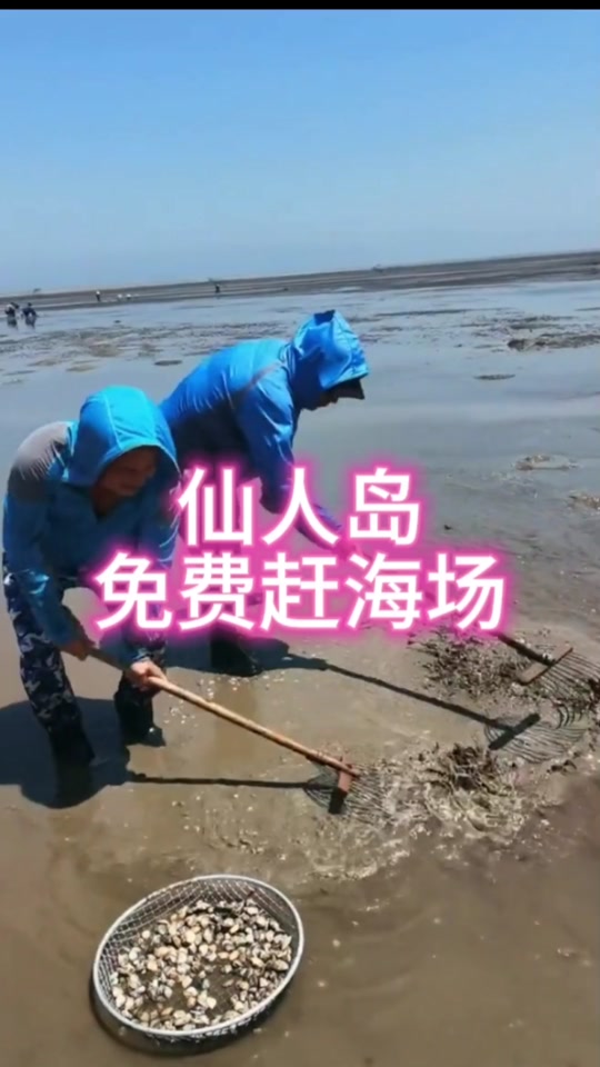 滨海30号赶海时间和最佳赶海时间 - 抖音