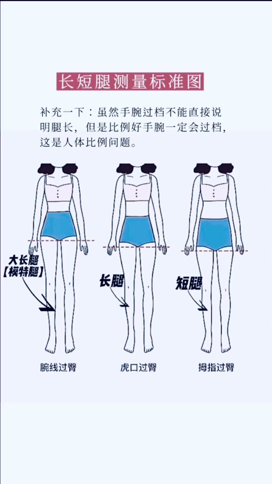 腿长是从哪里开始量图解_正确量腿长的方式有图