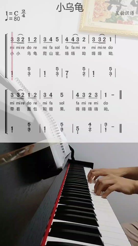 爱学习的小乌龟简谱