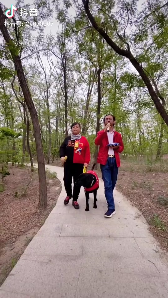 盲人燕子的老公是谁_盲人陈燕为什么离婚