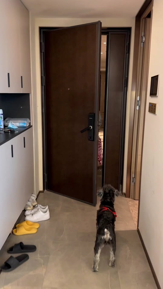 丸子和灿二哥以前的视频