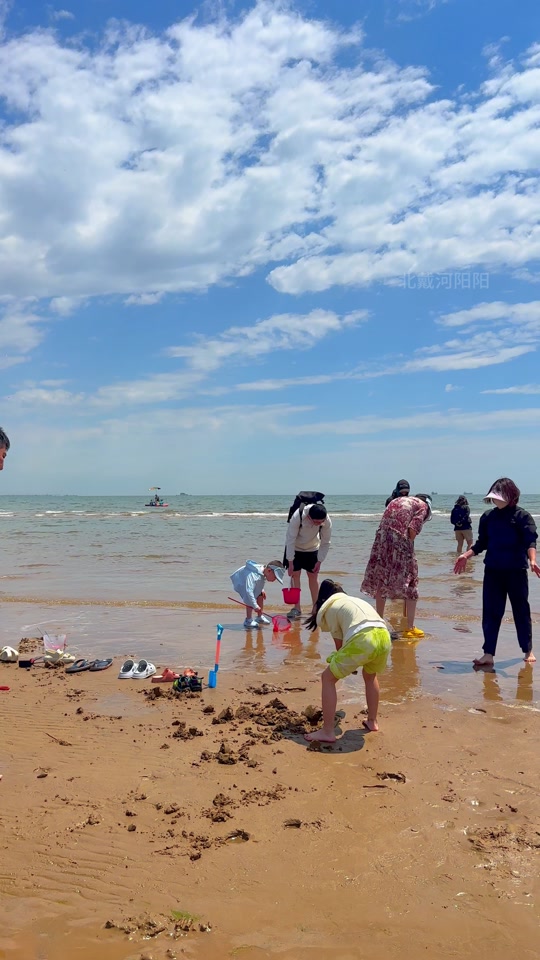 秦皇岛16号赶海最佳时间 - 抖音