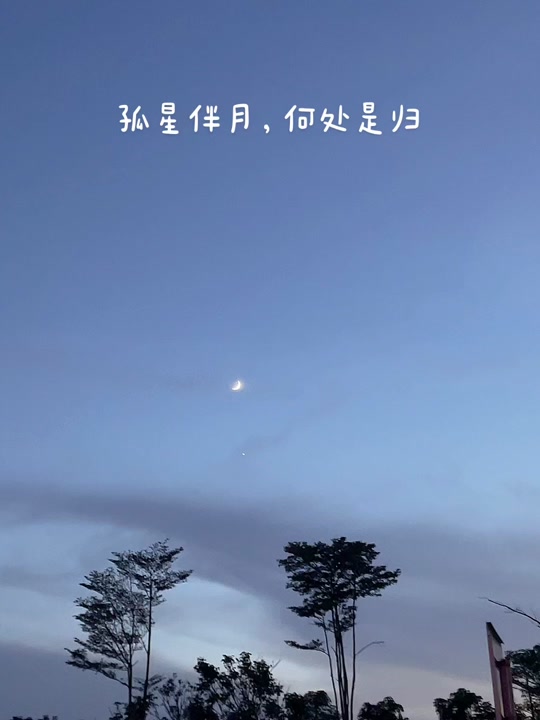 孤星伴月浪漫文案