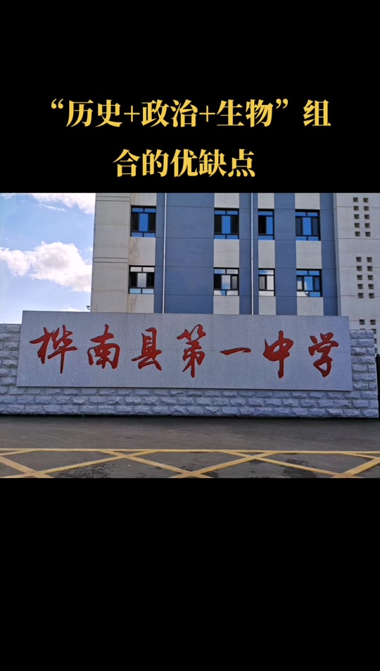 政治历史技术组合好吗