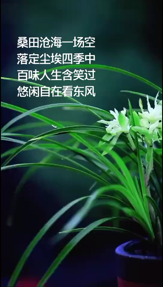 沧海桑田是什么意思_沧海桑田下一句是什么_时过境迁沧海桑田是什么