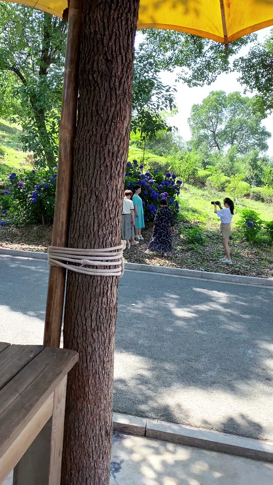 宜兴杨梅采摘园推荐