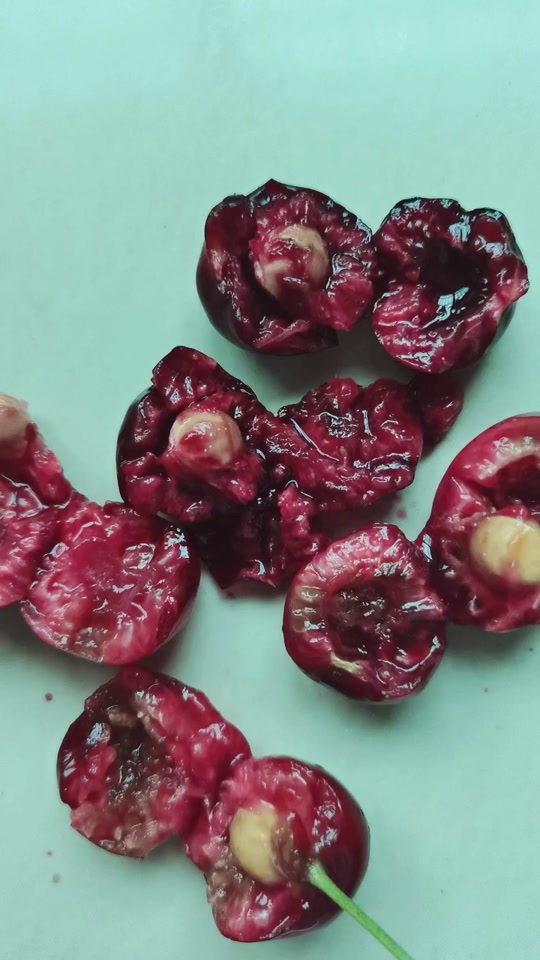 樱桃里面为什么会有小白虫