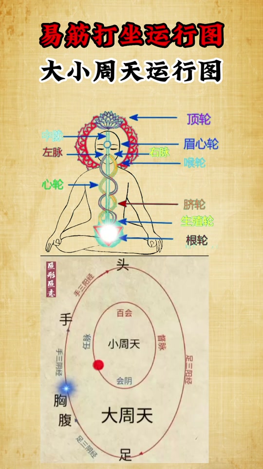 小周天运行图动态循环
