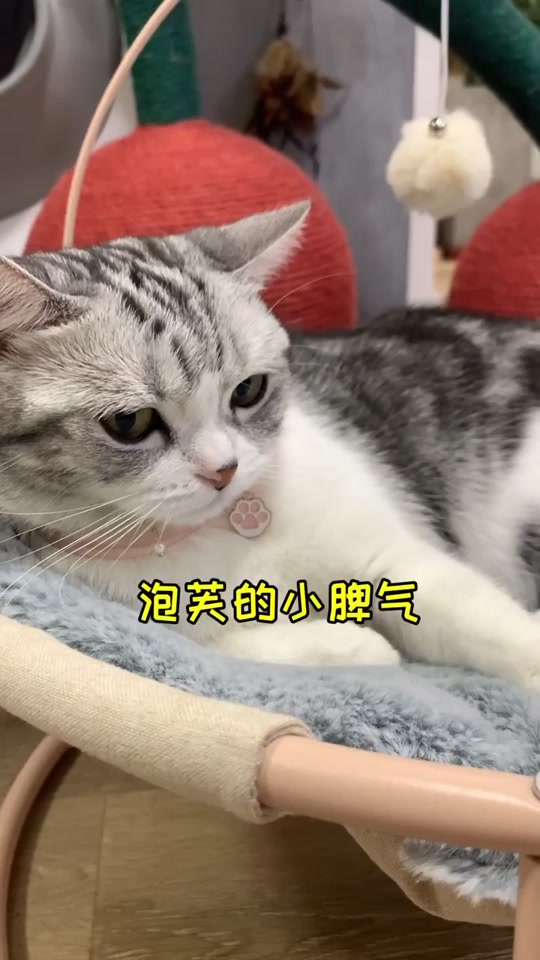 王泡芙的火锅_王泡芙是怎么火的_王泡芙泡芙 - 抖音