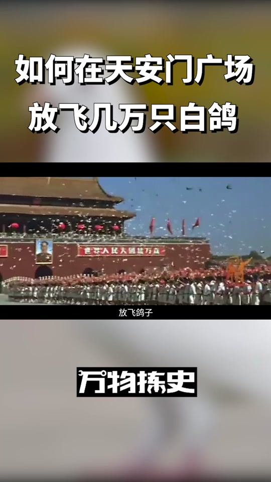 一景区放烟花变放鸽子_国庆节放鸽子是什么意思_放鸽子还有几种说法