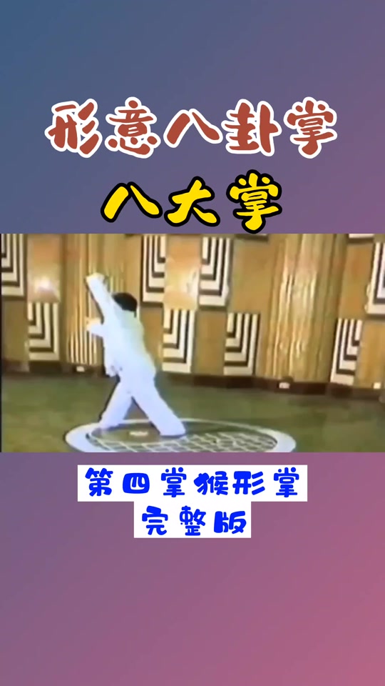 八卦掌第八掌教学