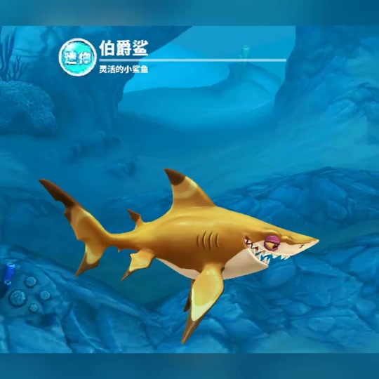 饥饿鲨世界哥布尔鲨任务吃掉水母_饥饿鲨世界哥