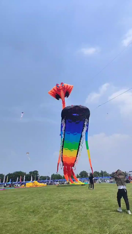 21-4.23大龙湖风筝节开始啦>0000/>0011>连播>清屏>智能>倍速>点赞>10