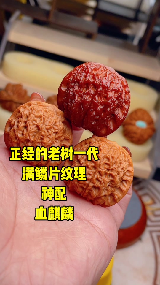 血麒麟核桃怎么看品相 - 抖音