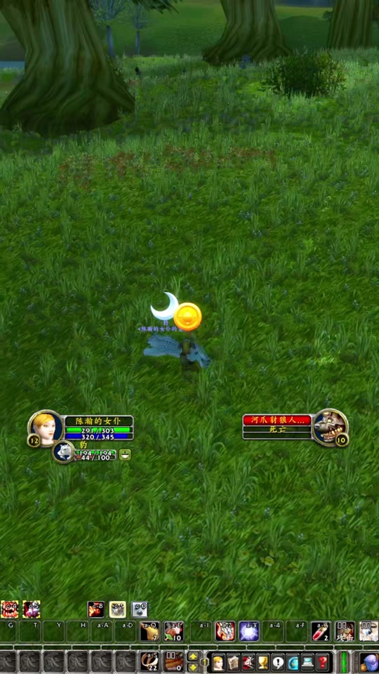 射击猎人宏，怀旧服射击猎人宏