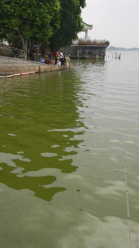 草河湿地公园开放了吗_番禺草河湿地公园