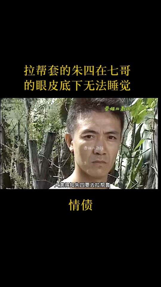 拉帮套电视连续剧有几部 - 抖音
