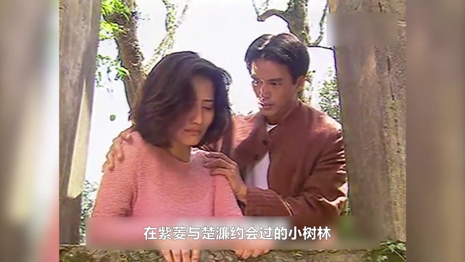 花落落花开_岳翎焦恩俊花落花开结局_1995版花落花开全部演员表 - 抖