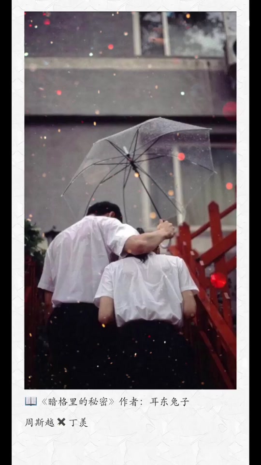 丁美抖音=丁美琪简历