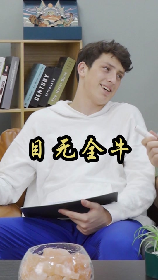 目无全牛是什么意思打一生肖动物_目无全牛意思是