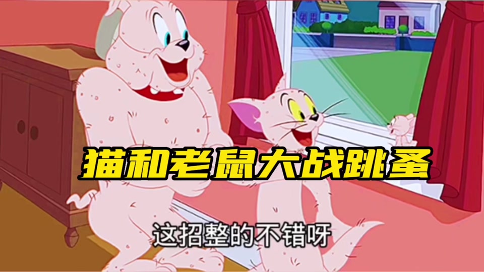 猫和老鼠东北方言_猫和老鼠东北方言版大地瓜和小不点_猫和老鼠东北