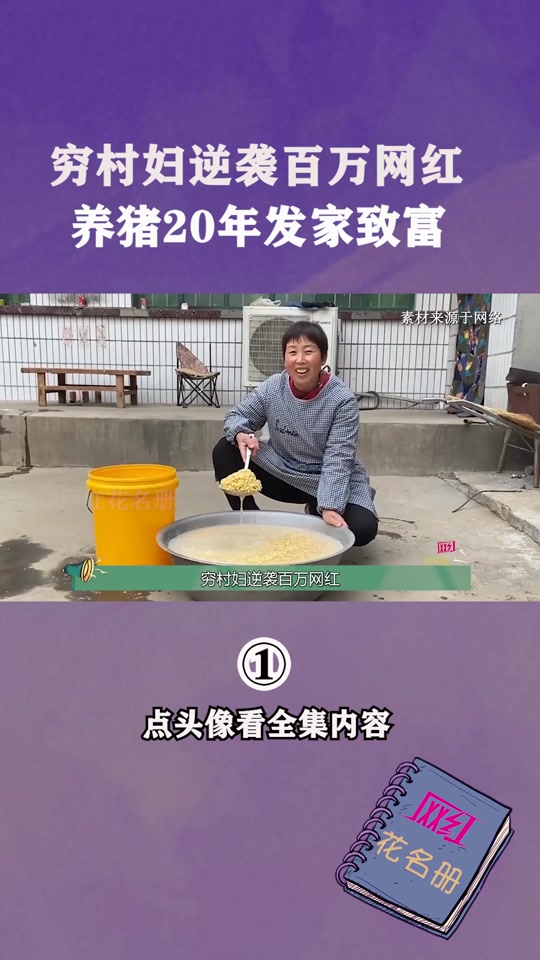 致富经养猪(致富经养猪视频全集视频)