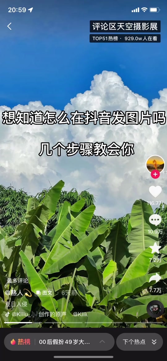 抖音西域情人_西域情歌抖音_日语歌抖音抖音saino