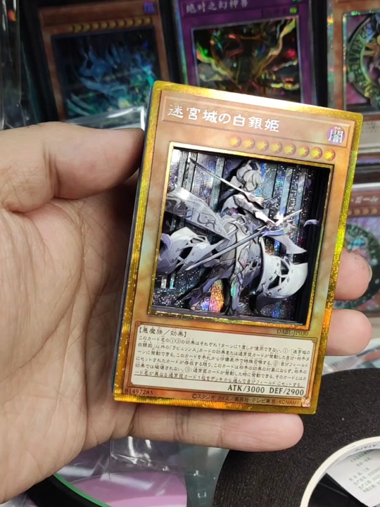 金姬银姬野蛮千金